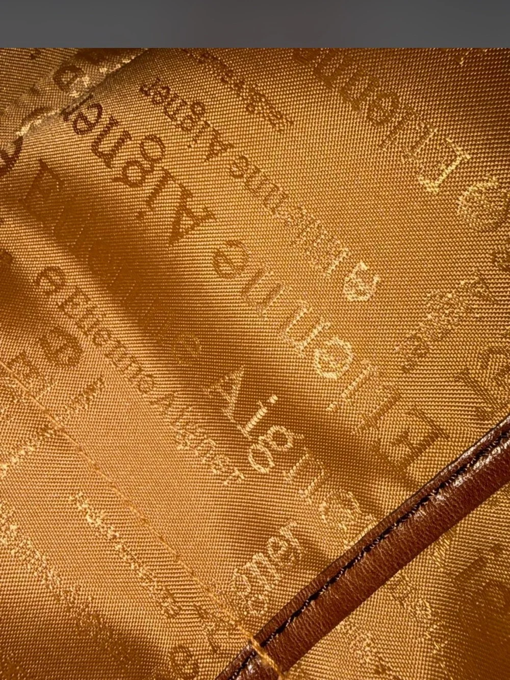 Vintage Y2K Etienne Aigner Cognac Brown Leather Messenger Bag with snakeskin